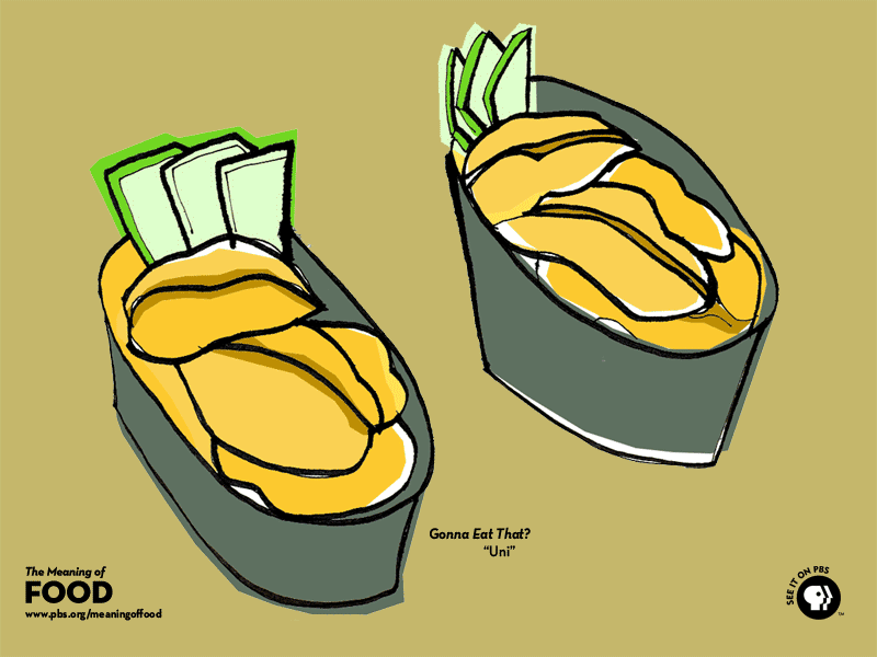FOOD DEFINITION MEANING visual data 4